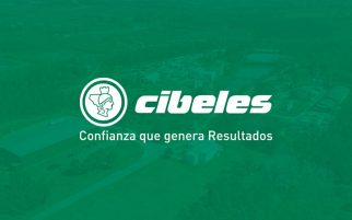 Cibeles incorporates ENAXIS as an added value to its management system