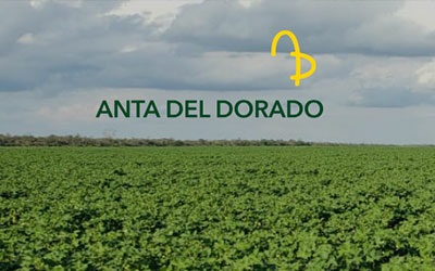 Anta del Dorado incorporated the ENAXIS ISO Suite as support for its Quality Management System